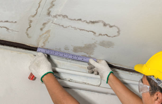 Reliable Mold Remediation contractor in Franklin, MI by Local Water Damage Repair